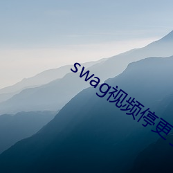 swag视频停更了
