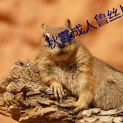 秋霞成人鲁丝片一区二区