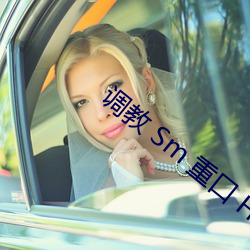 调教 Sm 重口 H文 HY （饮血崩心）