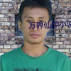 萬界仙蹤小說