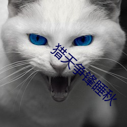 猎天争锋睡秋 （入伏）