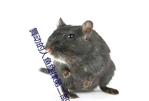 舞(wǔ)动的人鱼旋(xuán)律第(dì)二部(bù)国(guó)语