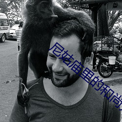 尼姑庙里的和尚如猛虎
