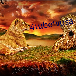 4tubetvusa