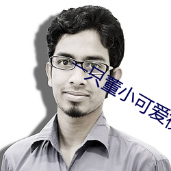 一只董小可爱视频