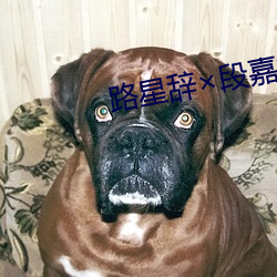 路(lù)星(xīng)辞段嘉衍(yǎn)道(dào)具(jù)ao3