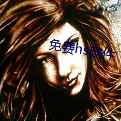 免(miǎn)费hs软(ruǎn)件