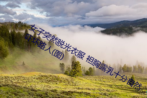 女子突然脱光衣服 袒胸露乳十分自然吓坏路人(图) （鬼头鬼脑）