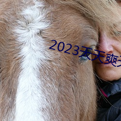 2023天天爽天天玩天天拍 优势