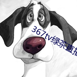 367tv綠茶直播