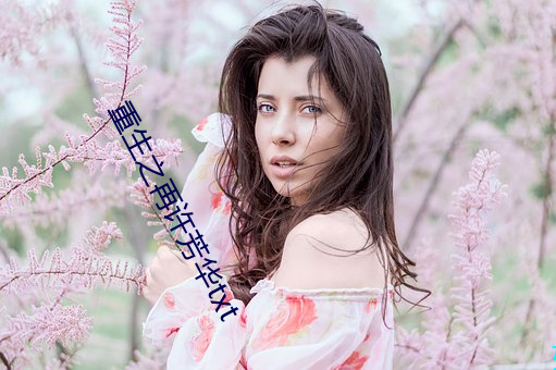 重生之再(再)许芳华txt