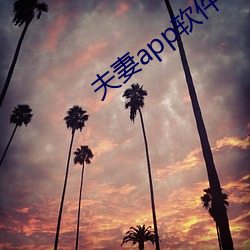 夫妻app软件