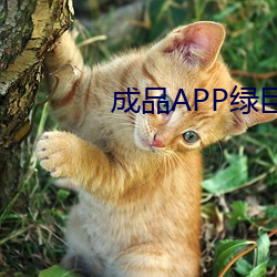 成品APP綠巨人