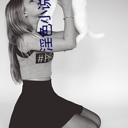 淫色小說網站