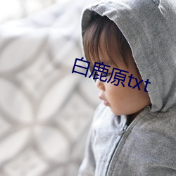 白鹿原txt