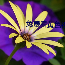 免(min)费色视(shì)Ƶ软件