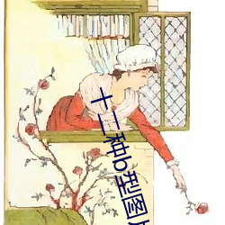 十二种b型图片