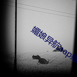 媚娘异航aap绿巨人 学时）