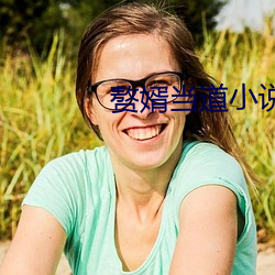赘婿当道小说
