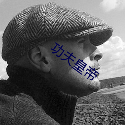 功夫皇帝