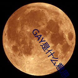 GAY是什么意思