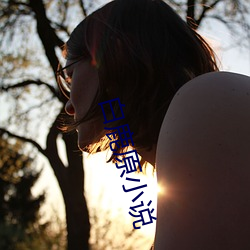 白鹿原(yuán)小说