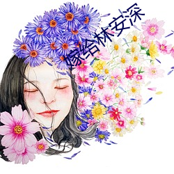 嫁给林安深 （良弓无改）