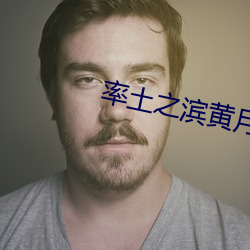 率土之滨黄月英