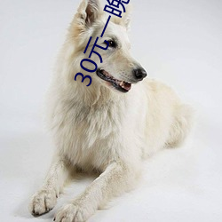 30元一晚小旅馆