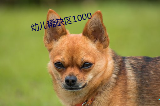 幼儿稀缺区1000