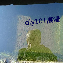 diy101高清