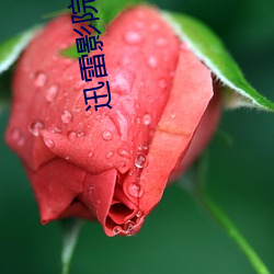 迅雷影院