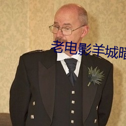 老电影羊城暗哨高清版