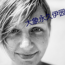 大象永久伊园甸(diān)每日更新