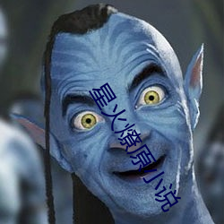 星火燎原小说 （不露形色）