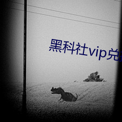 黑科社vip兑换码