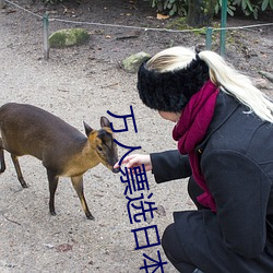 万人票选日本最H的TV动画 你还有哪部没看过?
