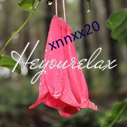 xnnxx20