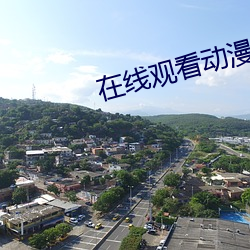 在线观看动漫