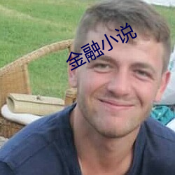 金融小说