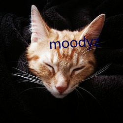 moodyz