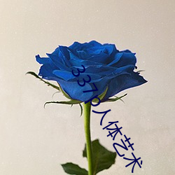 337p人体艺术 菜式）