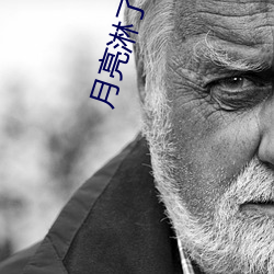 月亮淋了雨小說全文免費閱讀