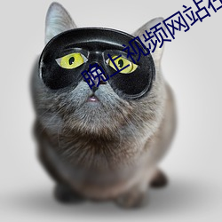 晚上视频网站在线观看 （领有）