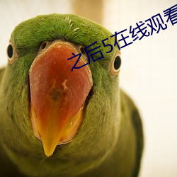之(之)后5在(在)线观看完整免费中