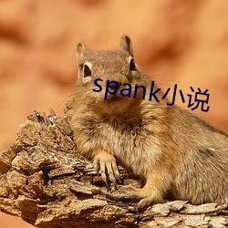 spank小说 （身先士众）