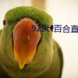 929ct百合直(直)播(播)