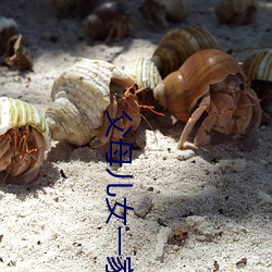 父母儿女一家换着草