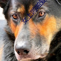 女上啪啪愛情島亞洲論壇