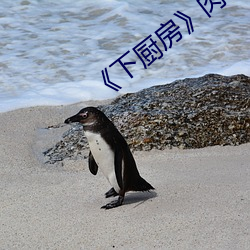 《下厨房》肉车